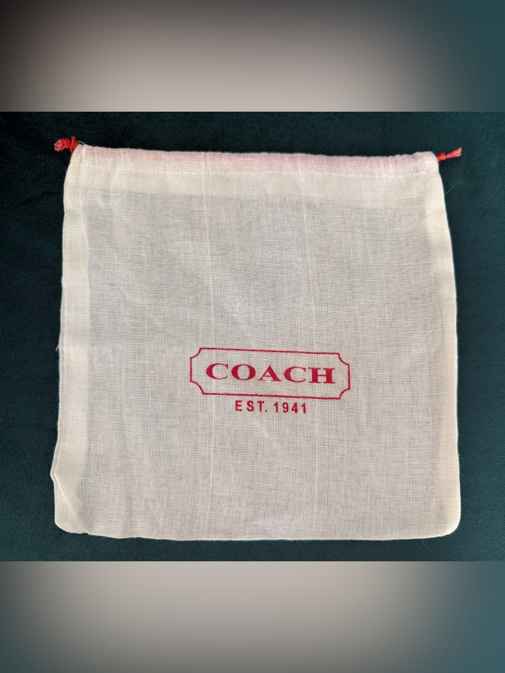 Coach Small Drawstring Dust Bag with Red Logo